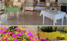 B&B Quintarelli